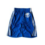 Peaceinwar Blue Skull Shorts
